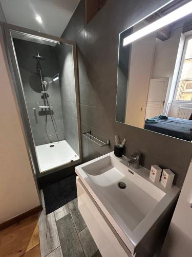 Coeur Vieux Lyon, 60 M2 lumineux tout confort photo 19