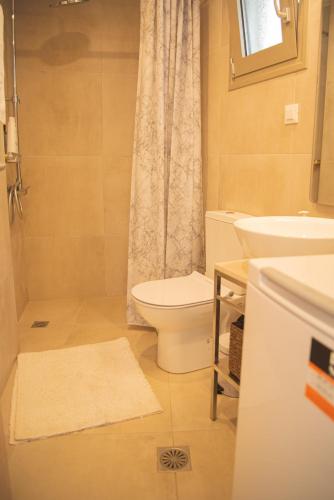 a bathroom with a toilet and a sink at Central cozy studio in Agios Nikolaos