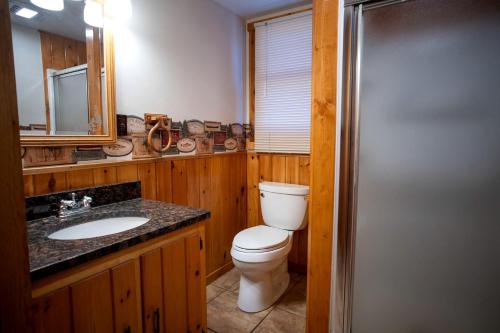 a bathroom with a toilet and a sink and a mirror at Spacious Rustic Cabin with Vaulted Ceilings, Full Kitchen, Fireplace & Large Deck Near Babbitt, Minnesota in Babbitt