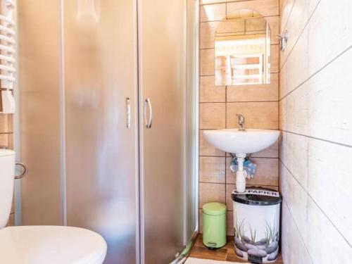 a bathroom with a shower and a sink at Domki u Teresy in Dębno