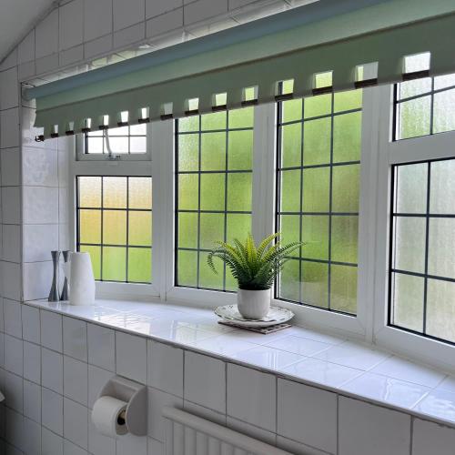 a bathroom with three windows with a potted plant at Rizvi house in Moston