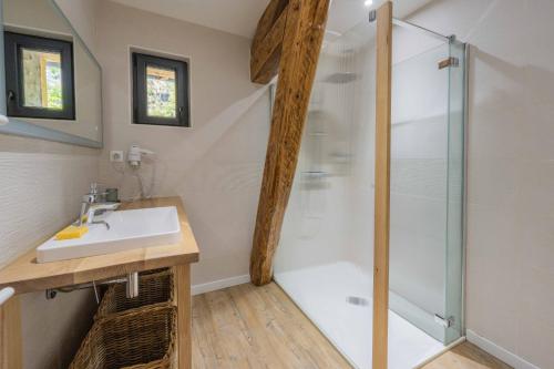 a bathroom with a shower and a sink at Gite - La grange Tima in Orgeix