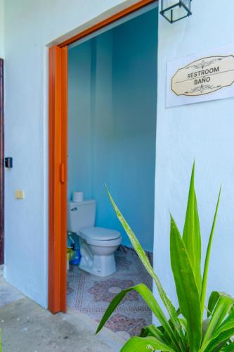 a bathroom with a toilet and a blue wall at Cozy apartment monica in San Pedro Sula