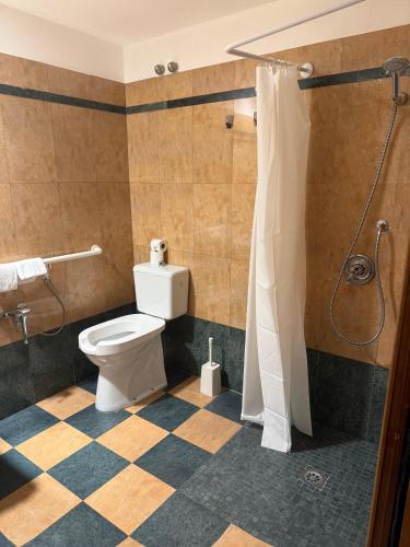 a bathroom with a toilet and a shower at Appia Park Hotel in Rome