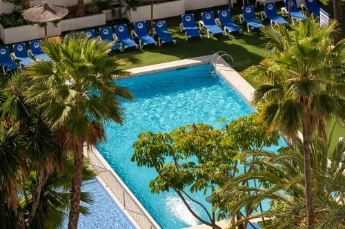 Poseidon Resort photo 231