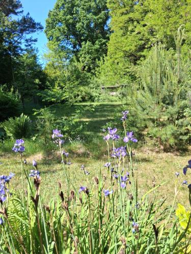 a garden with purple flowers and a pond at Bungalow im Künstlergarten in Bad Muskau