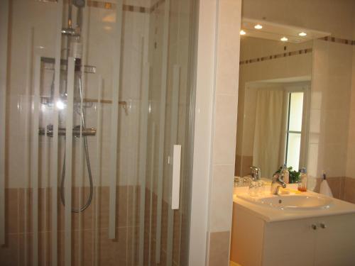 a bathroom with a shower and a sink and a mirror at La Maison d'Héloïse in Pruillé