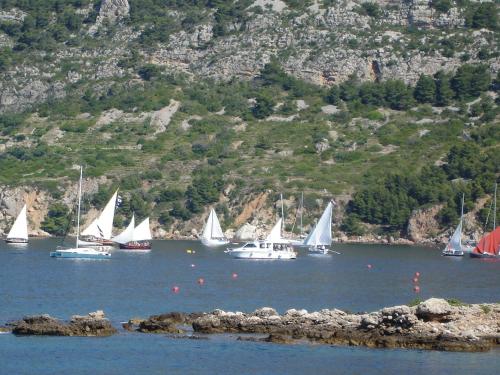 Φυσικό τοπίο κοντά σε αυτό το διαμέρισμα