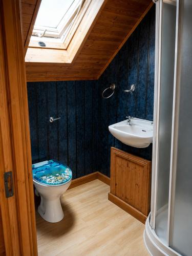 a bathroom with a toilet and a sink at Relaxing Loft Getaway Heart of County Meath in Enfield