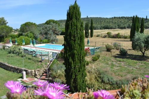 un complejo con piscina, árboles y flores en Podere S.Giulia - casale S.Giulia, en Riotorto