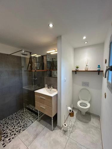 a bathroom with a toilet and a shower and a sink at Villa Manoe in Draguignan