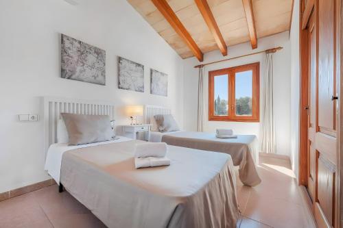 Villa Palmera