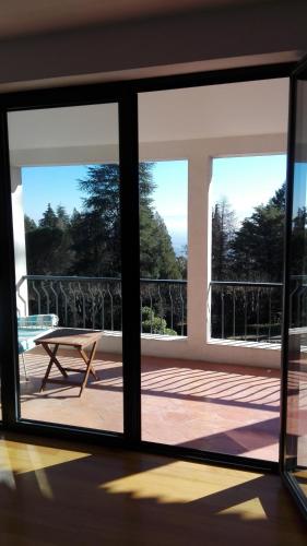 a view from an open glass door of a patio at Casa dos Arcos in Caramulo