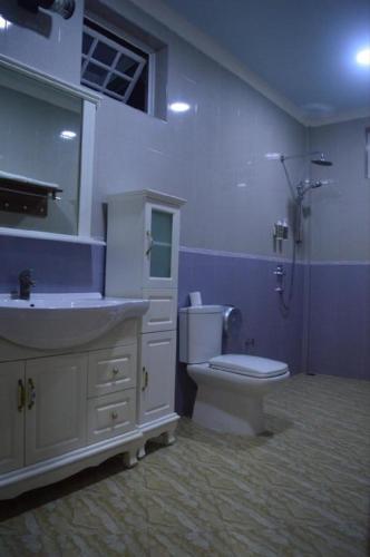 a bathroom with a toilet and a sink and a shower at Vista Villa in Hithadhoo