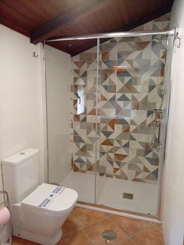 a bathroom with a shower and a toilet at Casa da Eira in Lobios