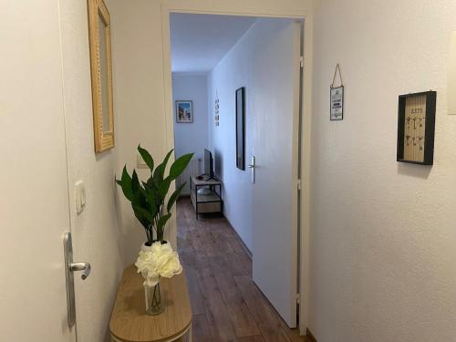 Studio cozy à Fréjus - Côte d'Azur