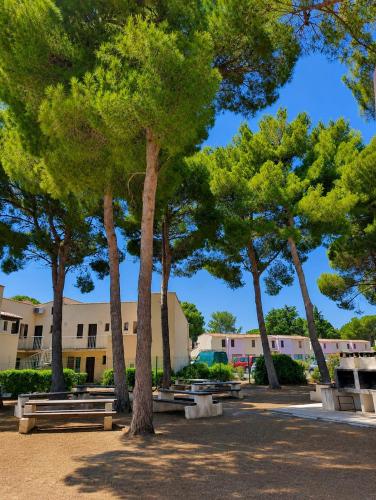 L'été au Cap d'Agde - Piscine - Parking - Proche village naturiste - Histoire de Clés