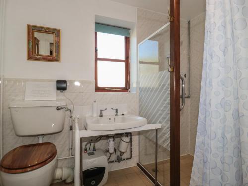 a bathroom with a toilet and a sink and a shower at Walk Close in Gloucester