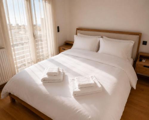 Athens Luxury Penthouse with Acropolis view