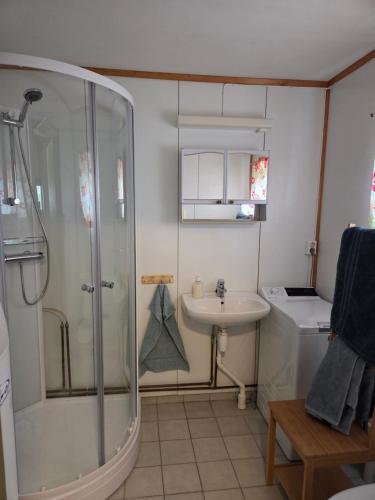 a bathroom with a shower and a sink at Flekkan gård in Kleiv