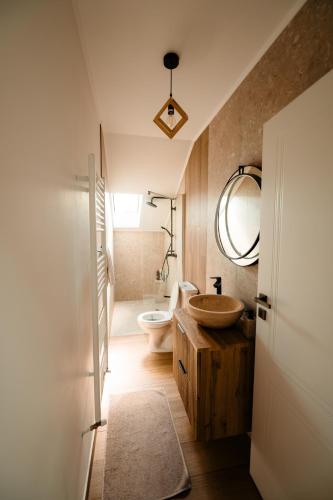 a bathroom with a sink and a toilet and a mirror at Cabana Brad Apuseni Villa in Cotorăşti