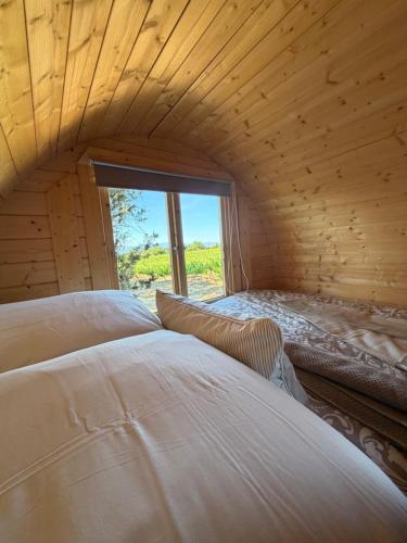 two beds in a room with a window at Le Tonneau in Carcassonne