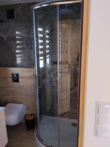 a shower with a glass door in a bathroom at Domek Niedźwiedź in Groń