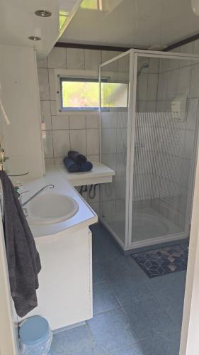a small bathroom with a sink and a shower at Watercabin in Ooltgensplaat in Ooltgensplaat