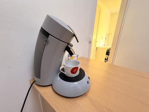 Tellier D appartement cosy en hyper centre
