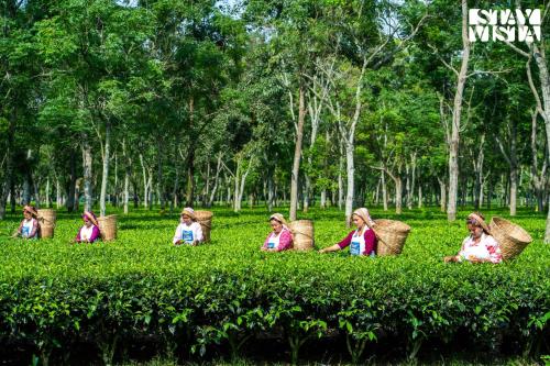 a group of women sitting in the grass at StayVista at The Sahib's Bungalow with BBQ & Bonfire in Kālchīni