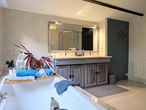 a bathroom with a tub and a sink and a mirror at Les Jardins de la Pinellerie in Vue