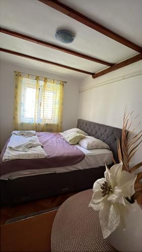 "Apartman More"