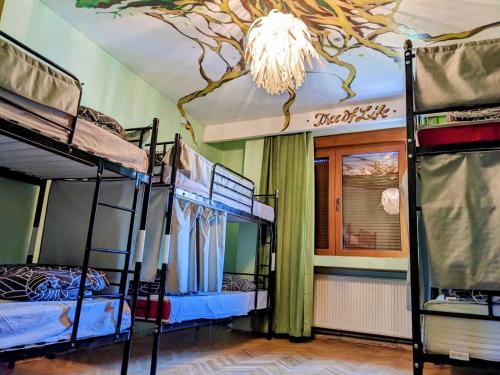 a room with three bunk beds and a chandelier at The Re-Born Hostel in Timişoara
