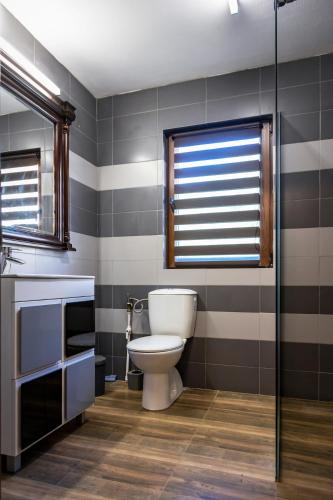 a bathroom with a toilet and a window at CASA CODRILOR - Greencodru liniste si relaxare in Codru