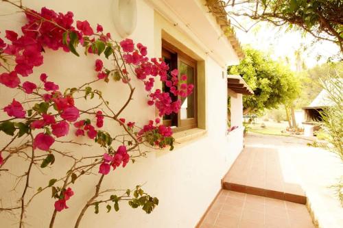Villa La Siesta