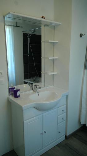 ein Bad mit einem Waschbecken und einem Spiegel in der Unterkunft Chez Tripp in Talmontiers