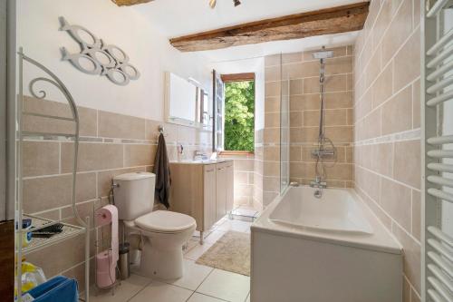 a bathroom with a toilet and a tub and a sink at Villa Esperance in Grand Brassac