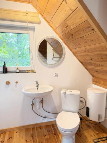 a bathroom with a toilet and a sink at Pokój Przy Kominku in Białla
