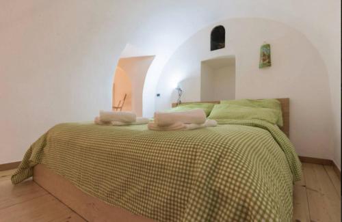 トリノにあるPiave 5のベッドルーム1室(ベッド1台、緑の毛布付)