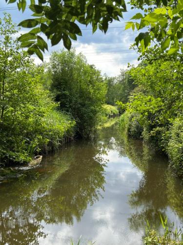 a river with trees and clouds in the water at Le Moulin de Tiquetorte in Moulis-en-Médoc