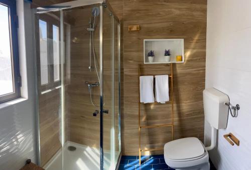 a bathroom with a shower and a toilet at BuganVilla in Santiago do Cacém