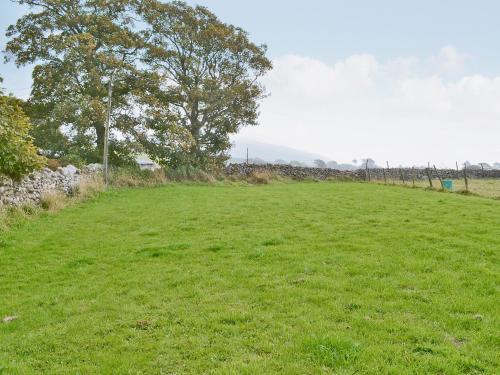 a field of green grass with a tree in the background at Foldgate in Waberthwaite