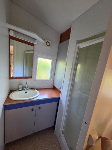 a bathroom with a sink and a mirror at L évasion in Saint-Thomas-en-Royans