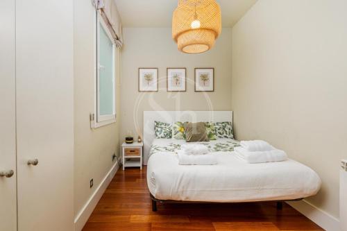 Spacious Apartment Near Passeig de Gràcia