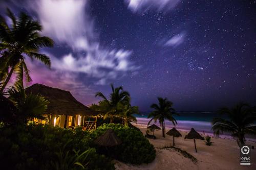 a starry night at the beach with palm trees and umbrellas at Hotel Pocna Tulum in Tulum