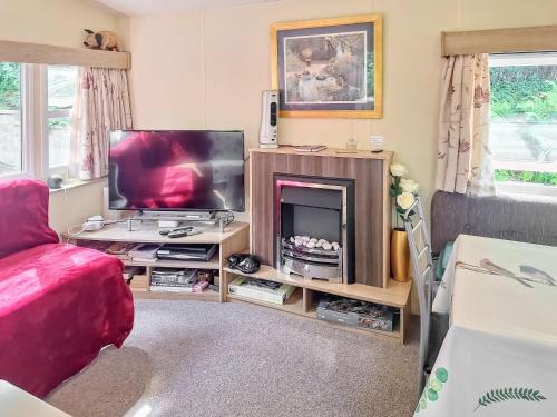 a living room with a tv and a fireplace at Glen Y Nant in Llanfihangel-nant-Melan