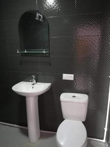 a bathroom with a white toilet and a sink at GuestHous LUKA in Manglisi