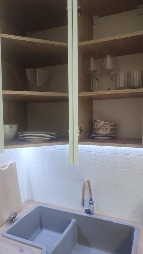 a kitchen with a sink and a shelf with plates at Viļāni Nākotnes in Viļāni