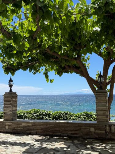 a tree with the ocean in the background at EverBlue Suites - Halkidiki Beachfront in Psakoudia