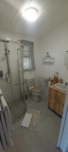 a bathroom with a shower and a toilet and a sink at 2 on Fifth Avenue in Botrivier